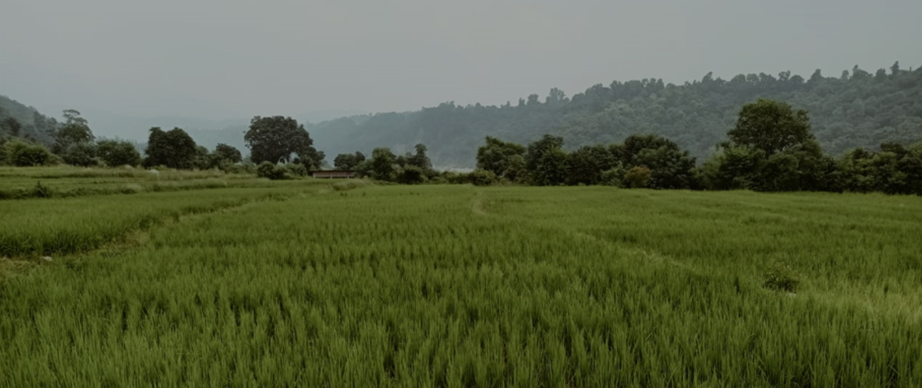 #slider-caption-1