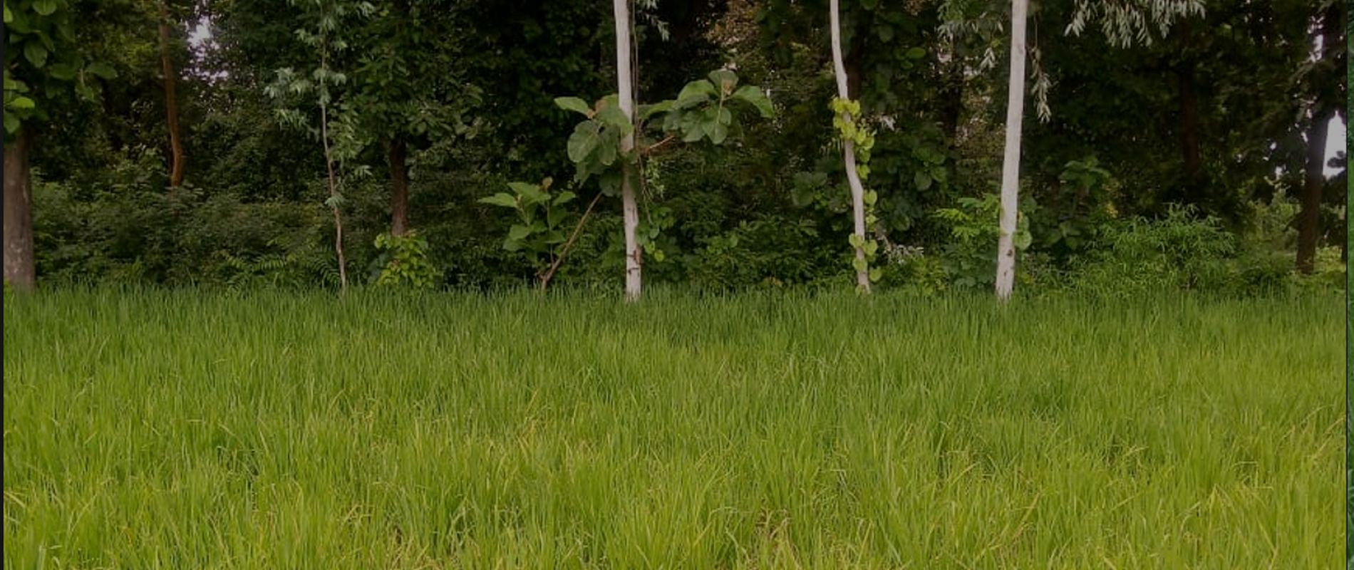 #slider-caption-5